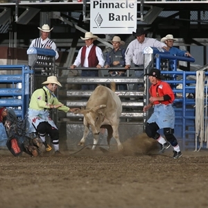 rodeo